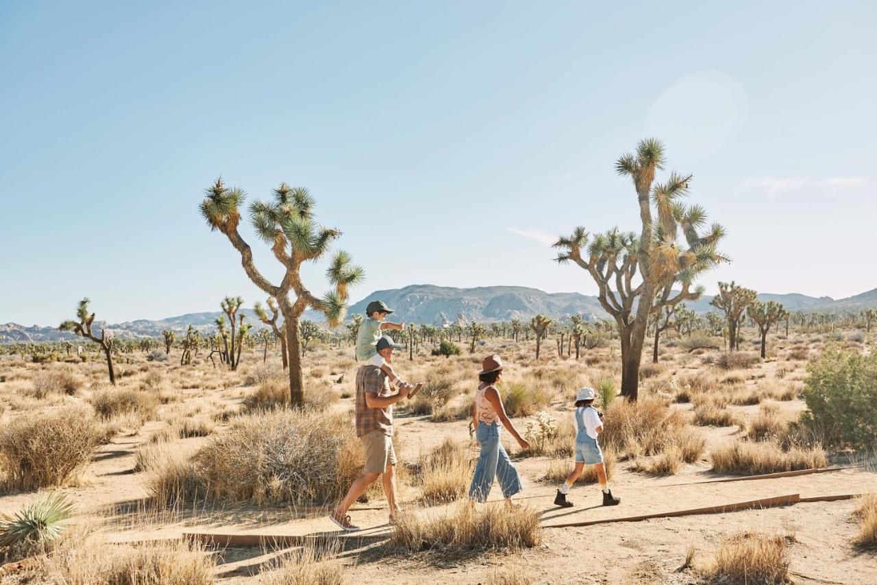 Field Station Joshua Tree 2*